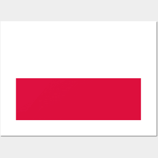 Flag of Poland Posters and Art